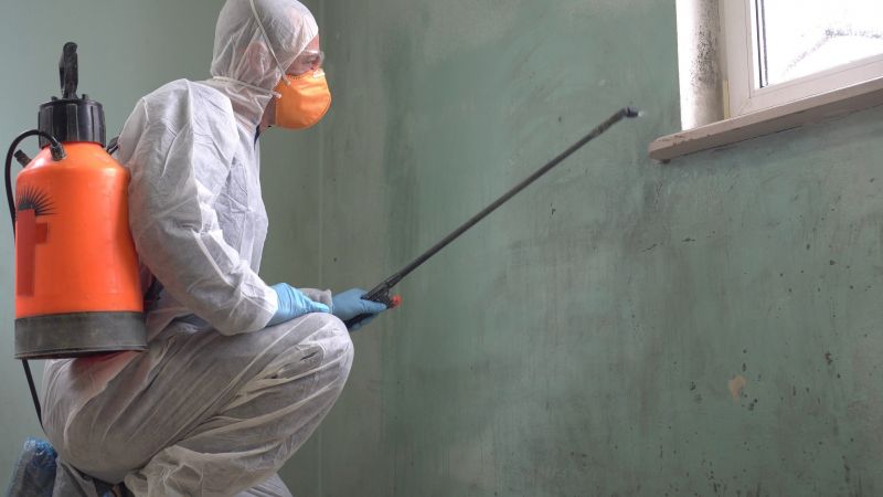 Mold Control in Plano, TX