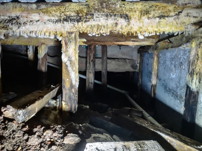 Crawl Space Mold Removal in Jupiter, FL
