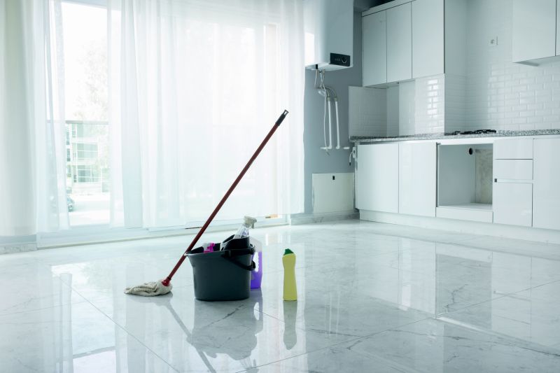 Kitchen Cleaning in Renton, WA