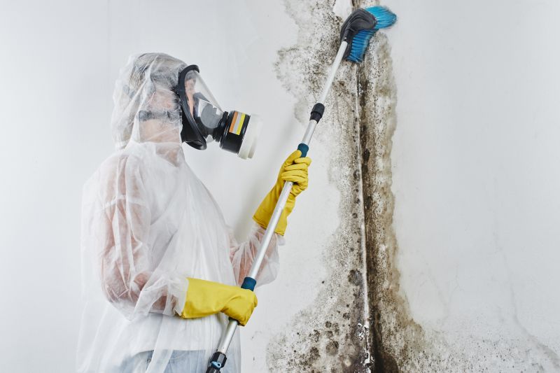 Mold Abatement Service in Frisco, TX