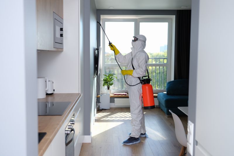 Mold Cleanup Service in Fort Lauderdale, FL