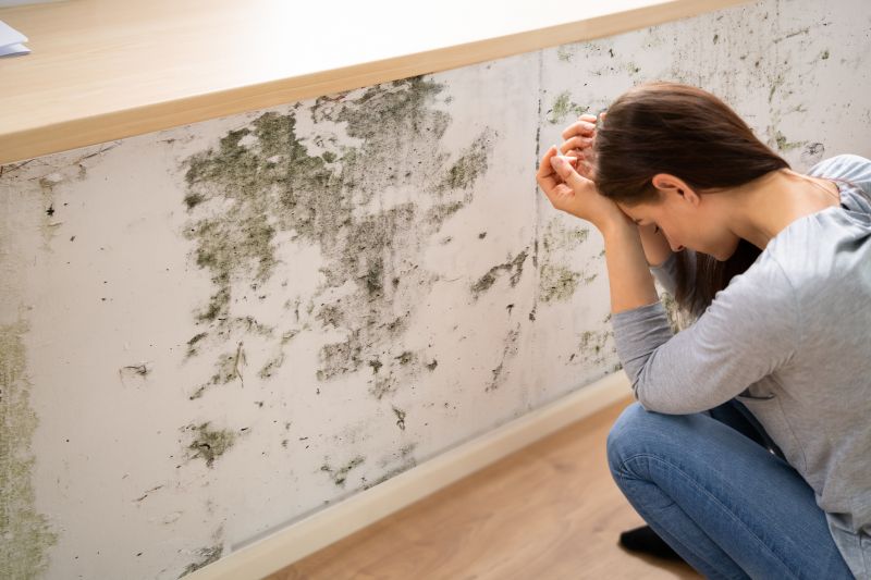 Mold Detection in Broward County, FL