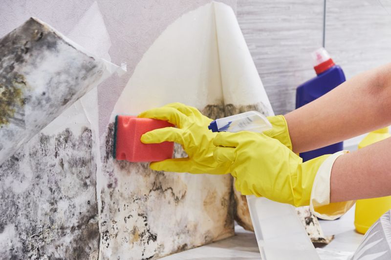 Mold Removal in Fort Worth, TX