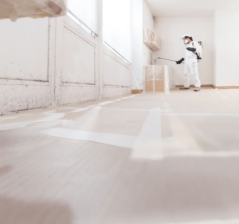 Mold Treatment Service in Boca Raton, FL