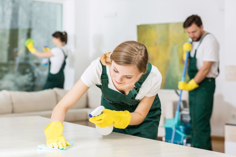 Reo Property Cleaning in Redmond, WA