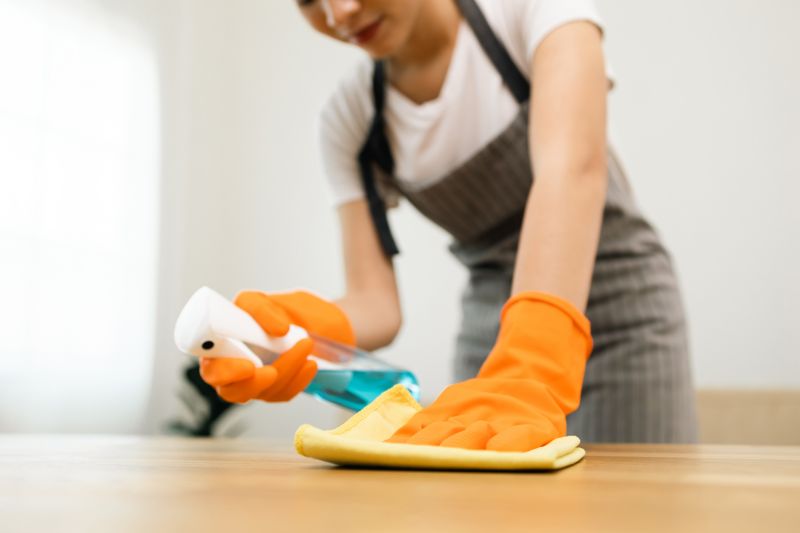 Reo Property Cleaning in Renton, WA