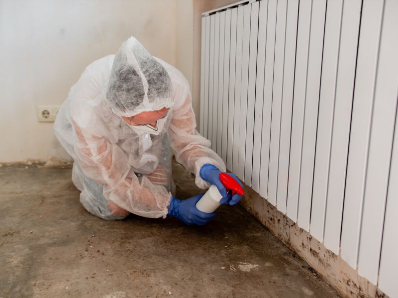 White Mold Mitigation in Essex County, NJ